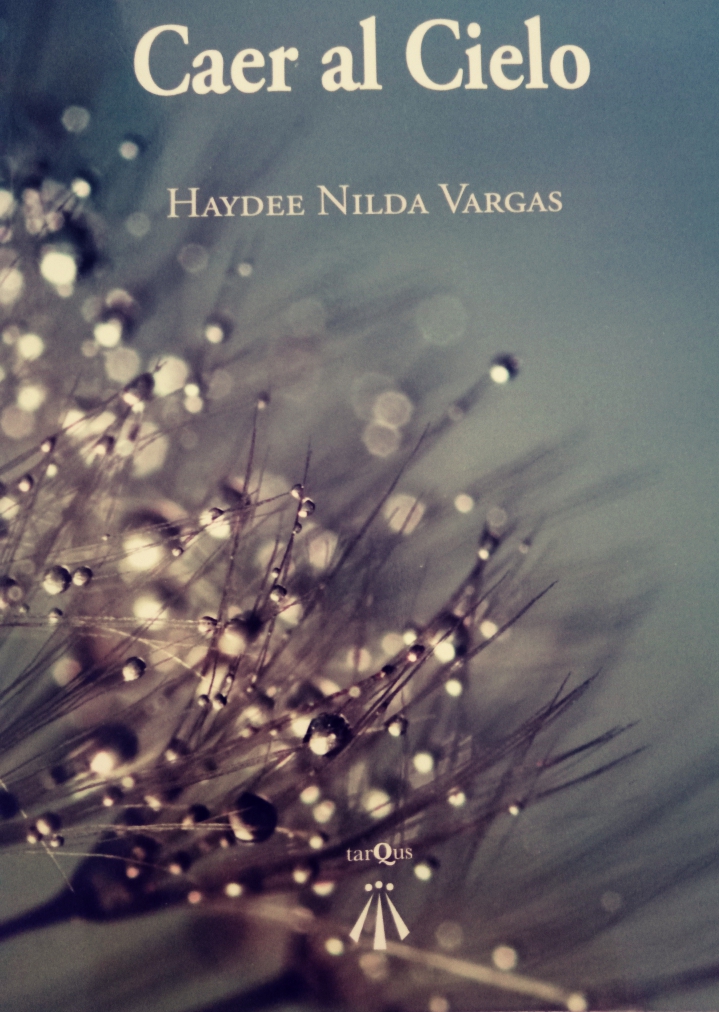 Libro Caer al Cielo, de Haydee Vargas